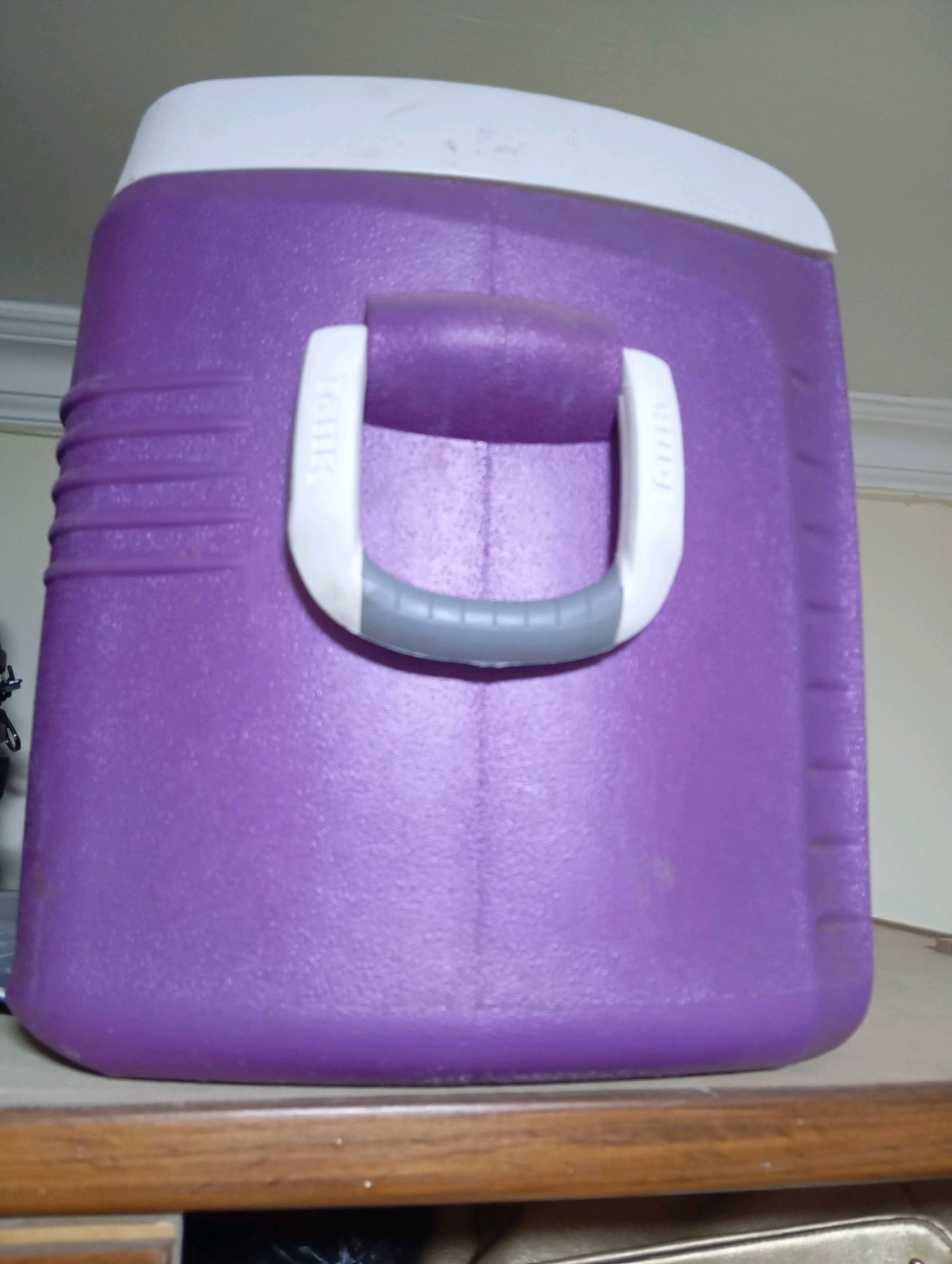 Purple Cooler Ice Box 25L