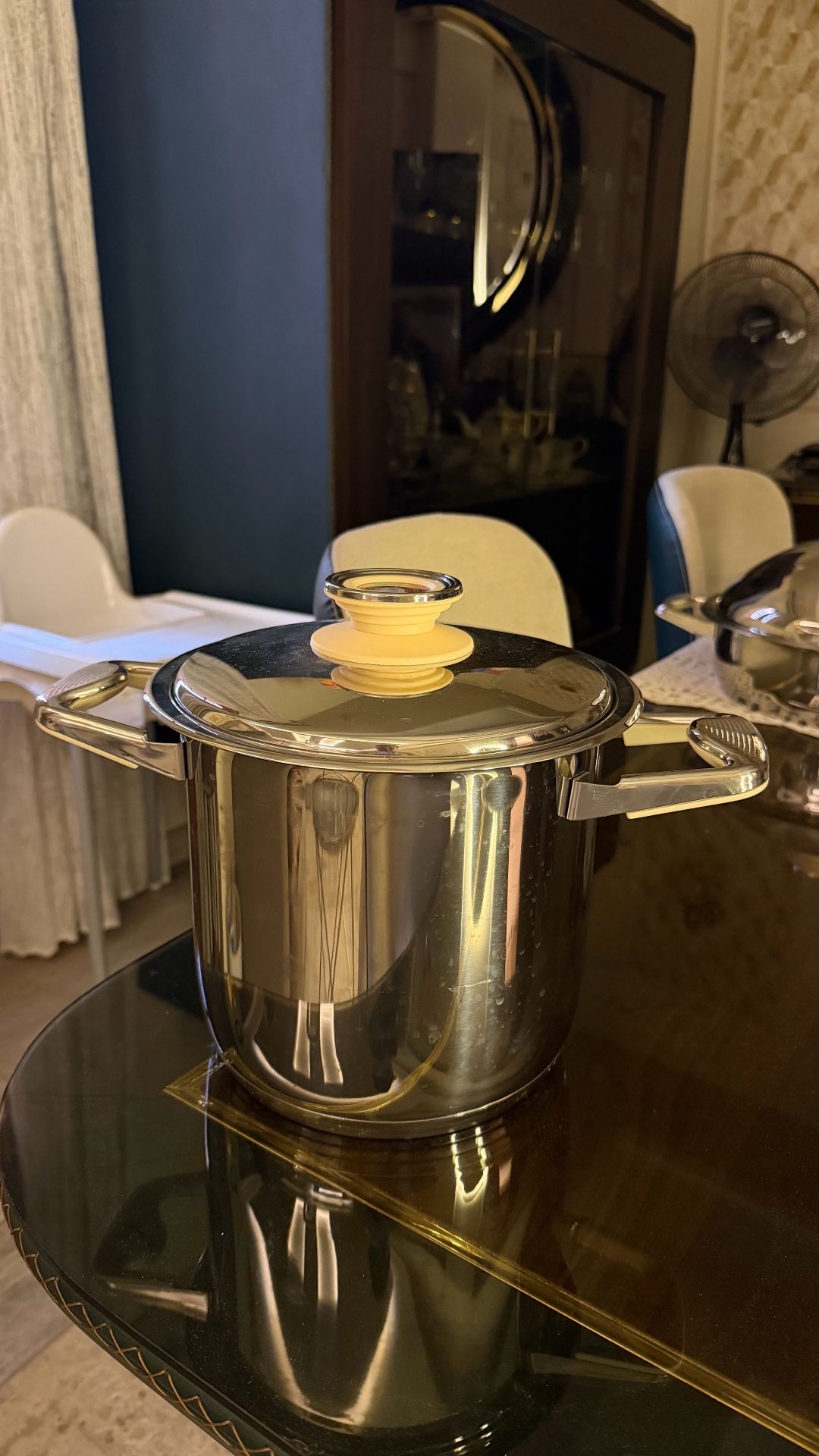 Stainless Steel Pot
