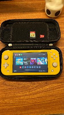 Nintendo switch lite