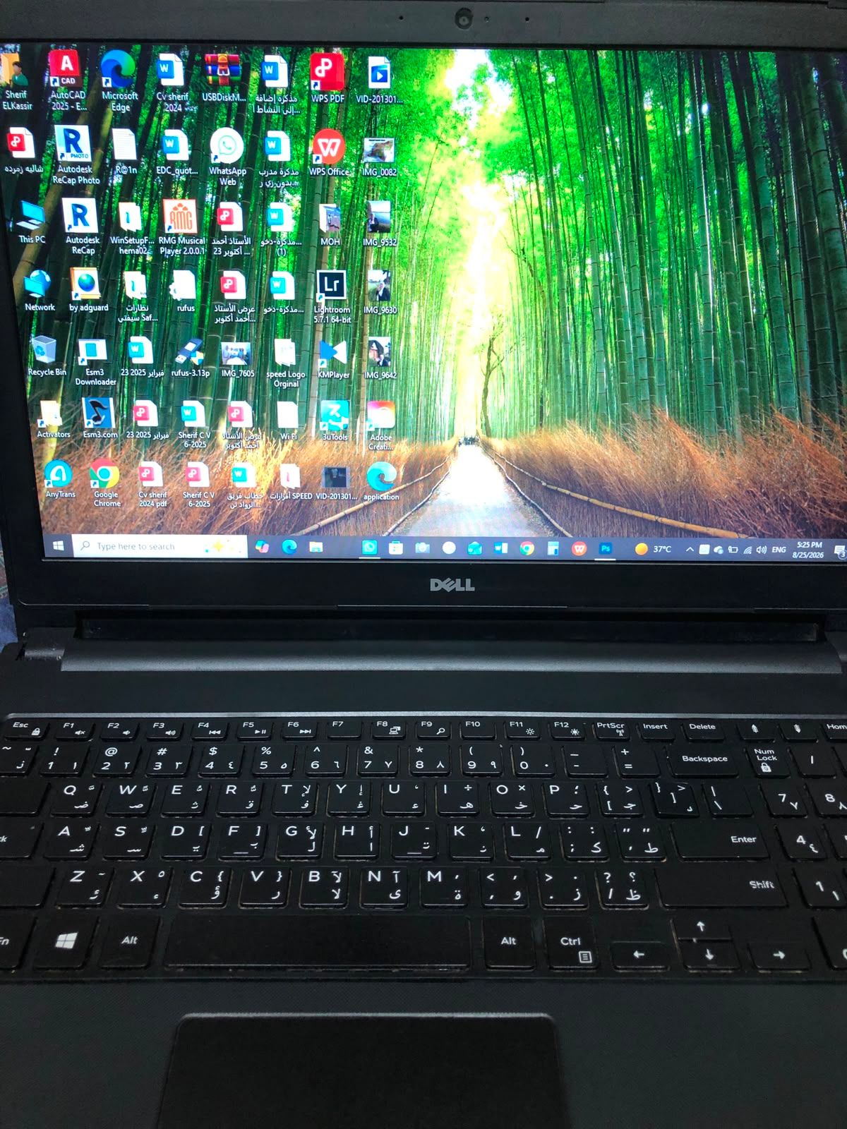 Laptop DeeL