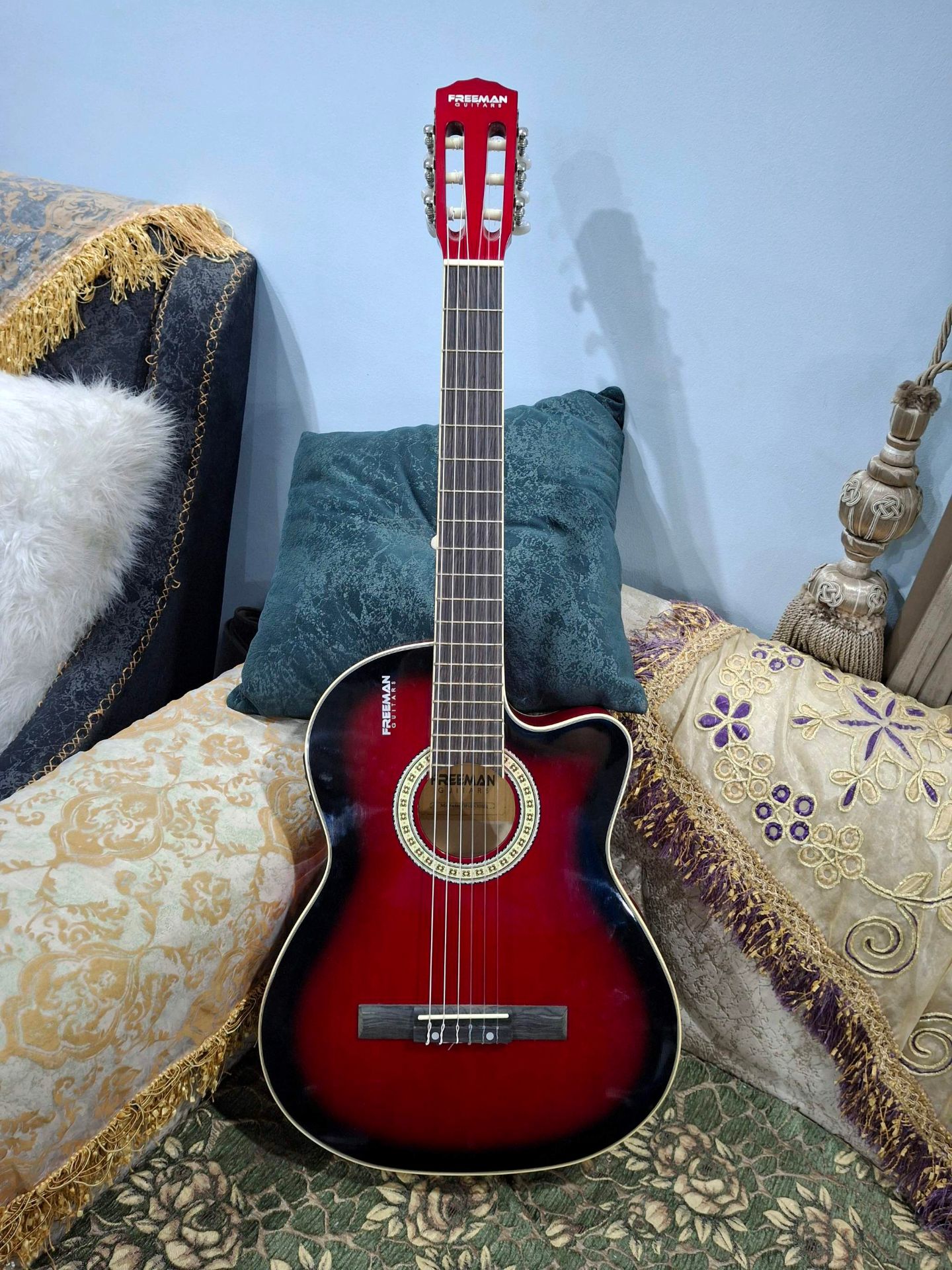 Fishman Acoustic Guitar 6-Stri