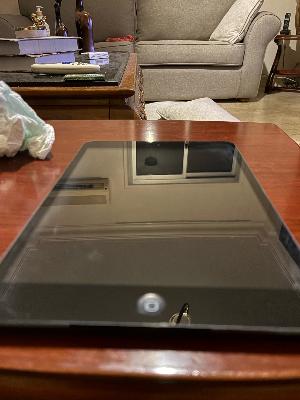 iPad Mini (Gray)