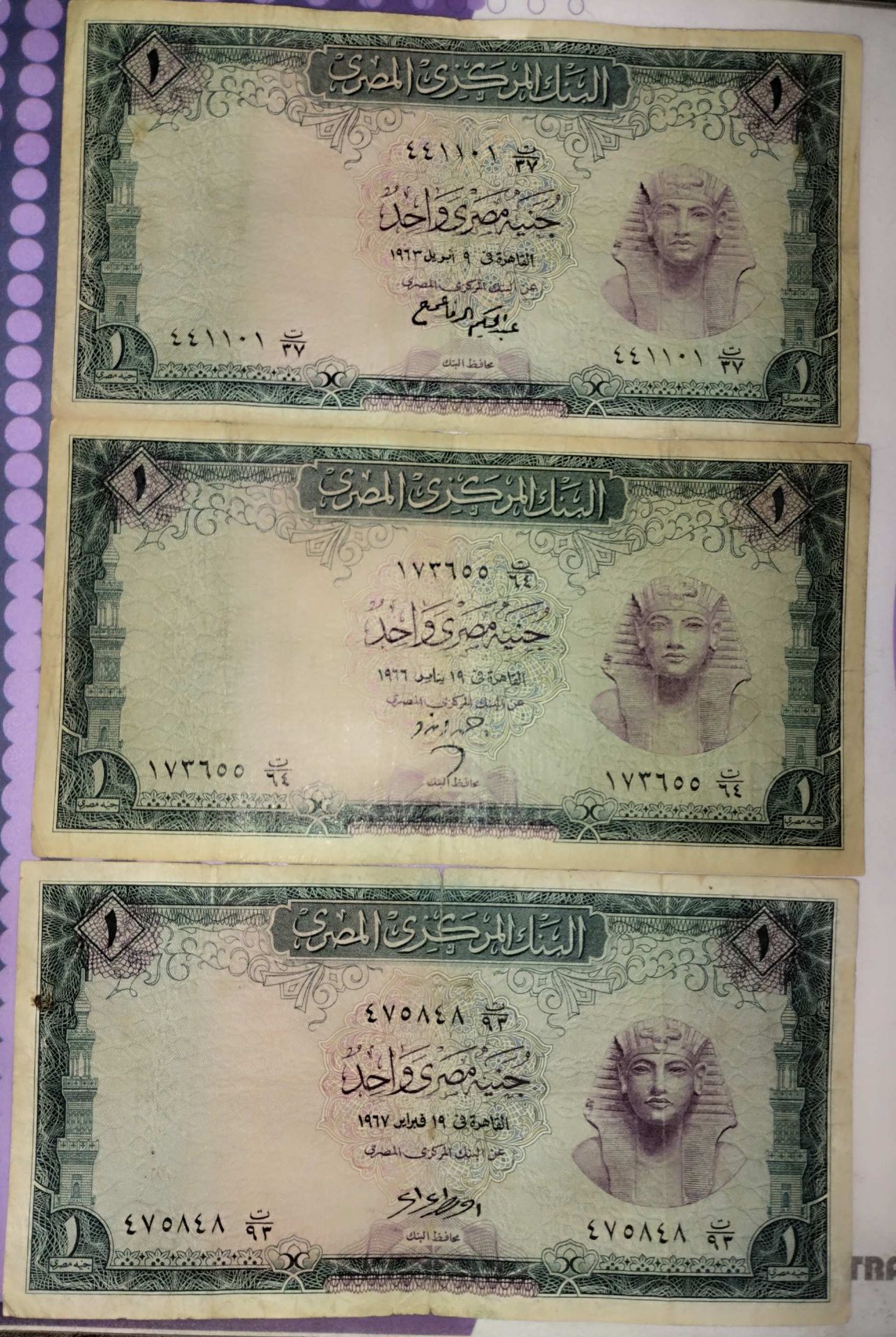 طقم جنيه البنك المركزي الاخضر