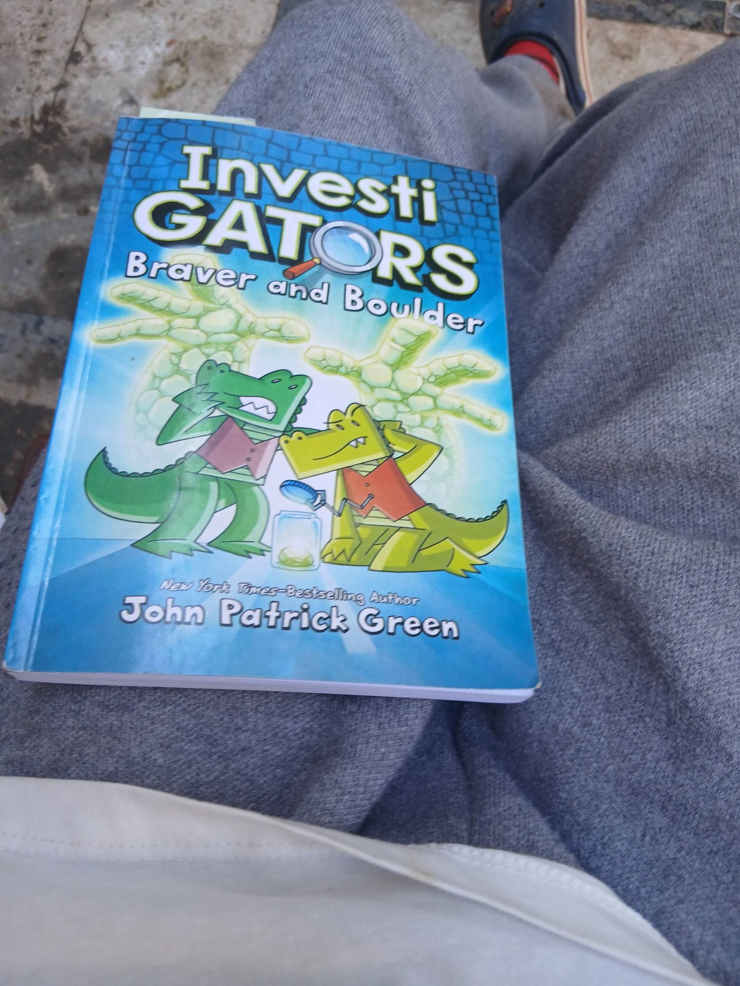 investigaters book