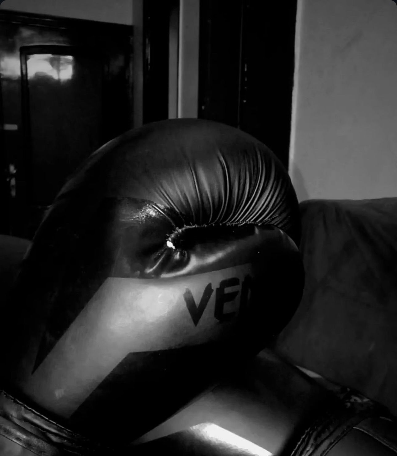 Boxing Gloves