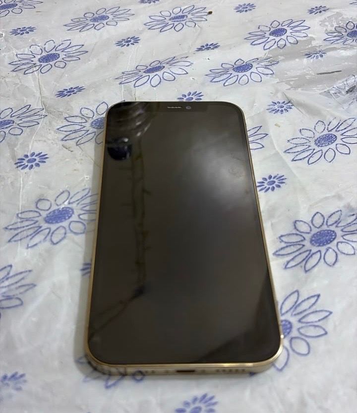 iPhone 12 Pro