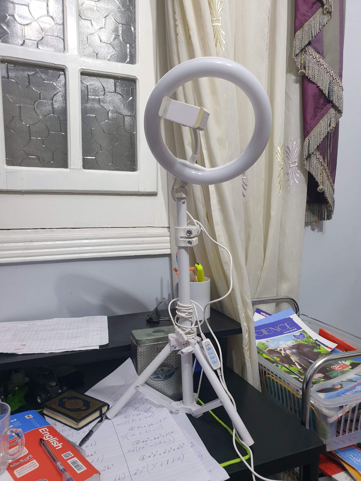 desk Ring Light with Stand