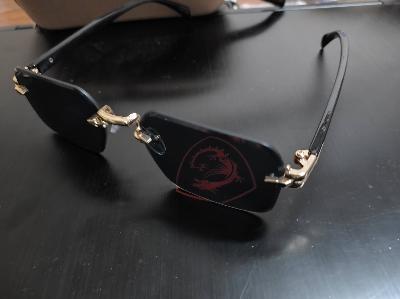 Sunglasses with Dragon Logo