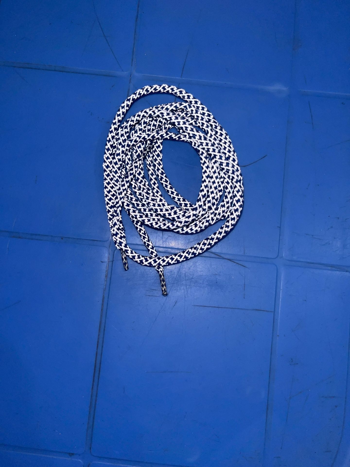 reflect shoe lace