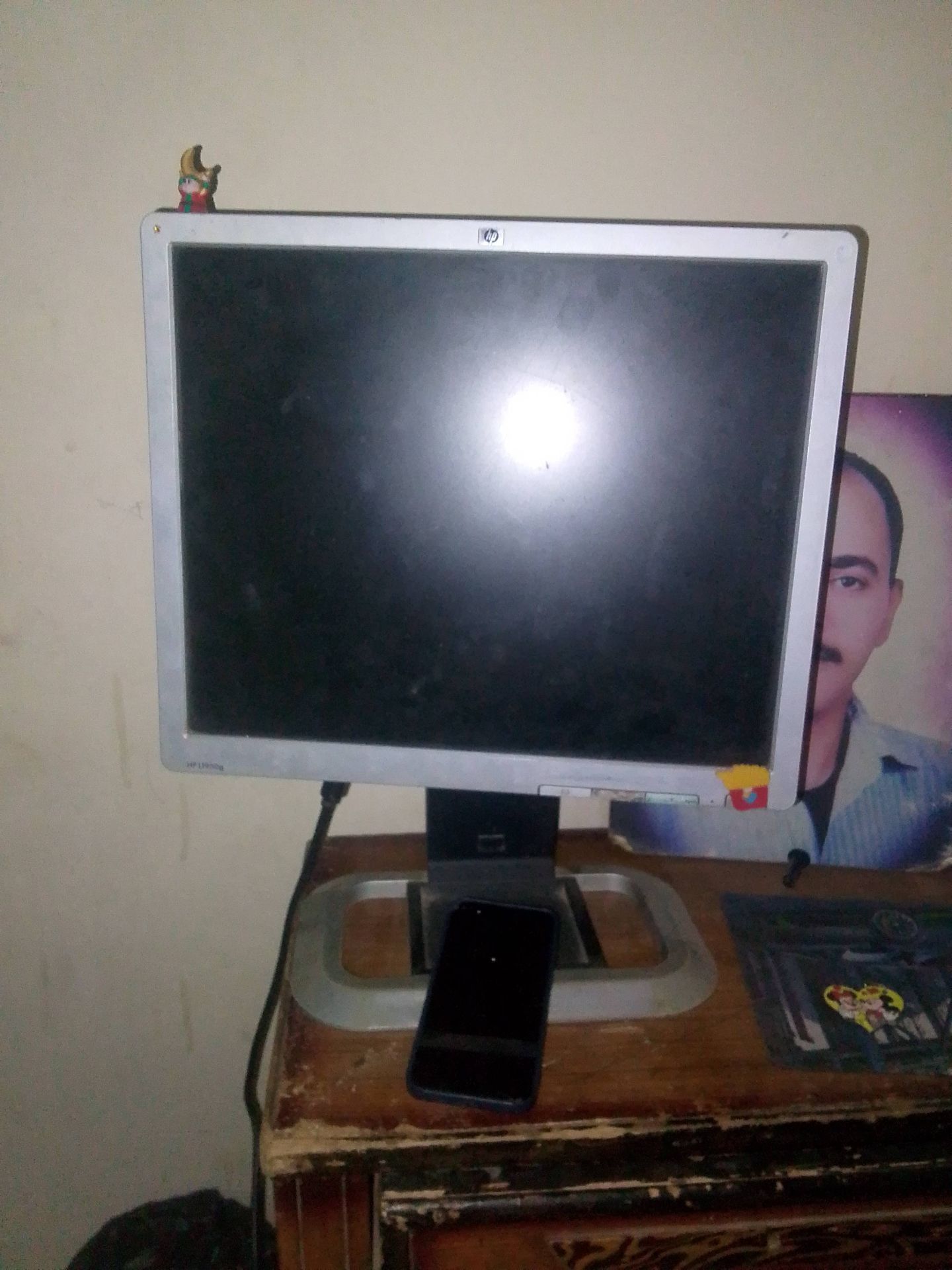 HP LCD Monitor
