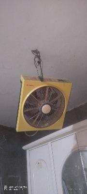 مروحة صندوق صفراء Fresh