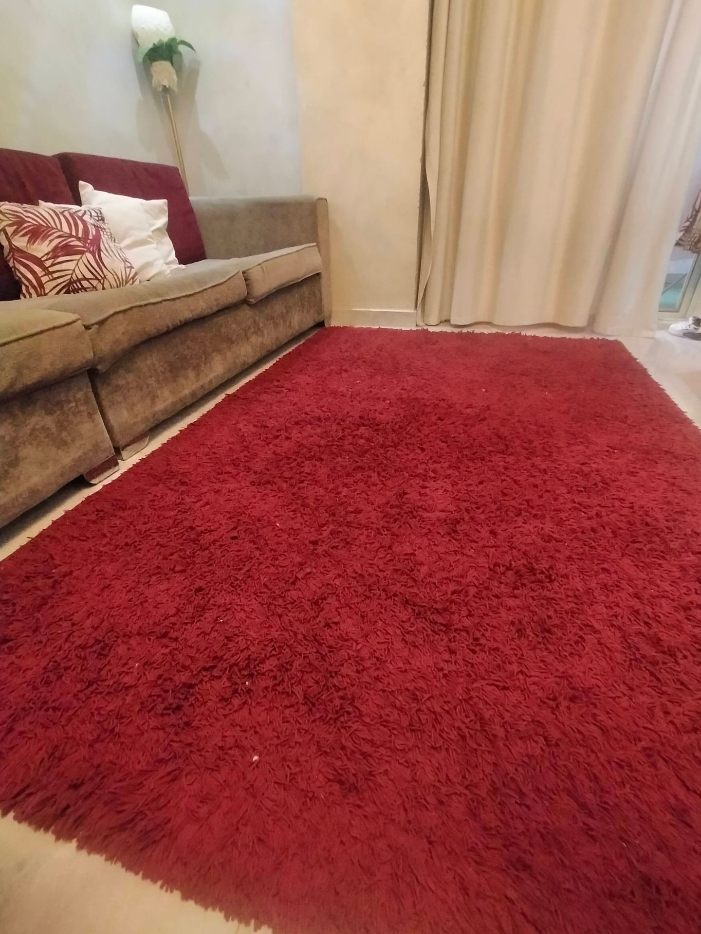 Red Shag Area Rug