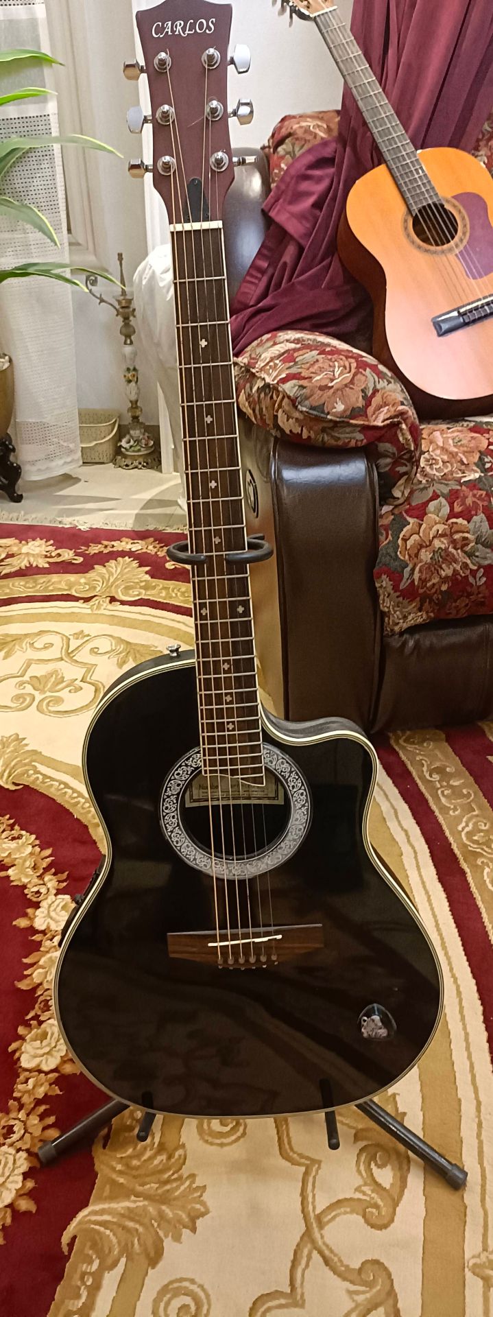 guitat electro acoustic