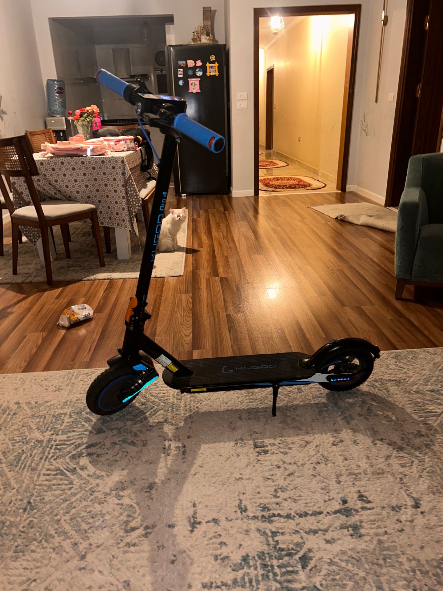 Kugoo Electric Scooter