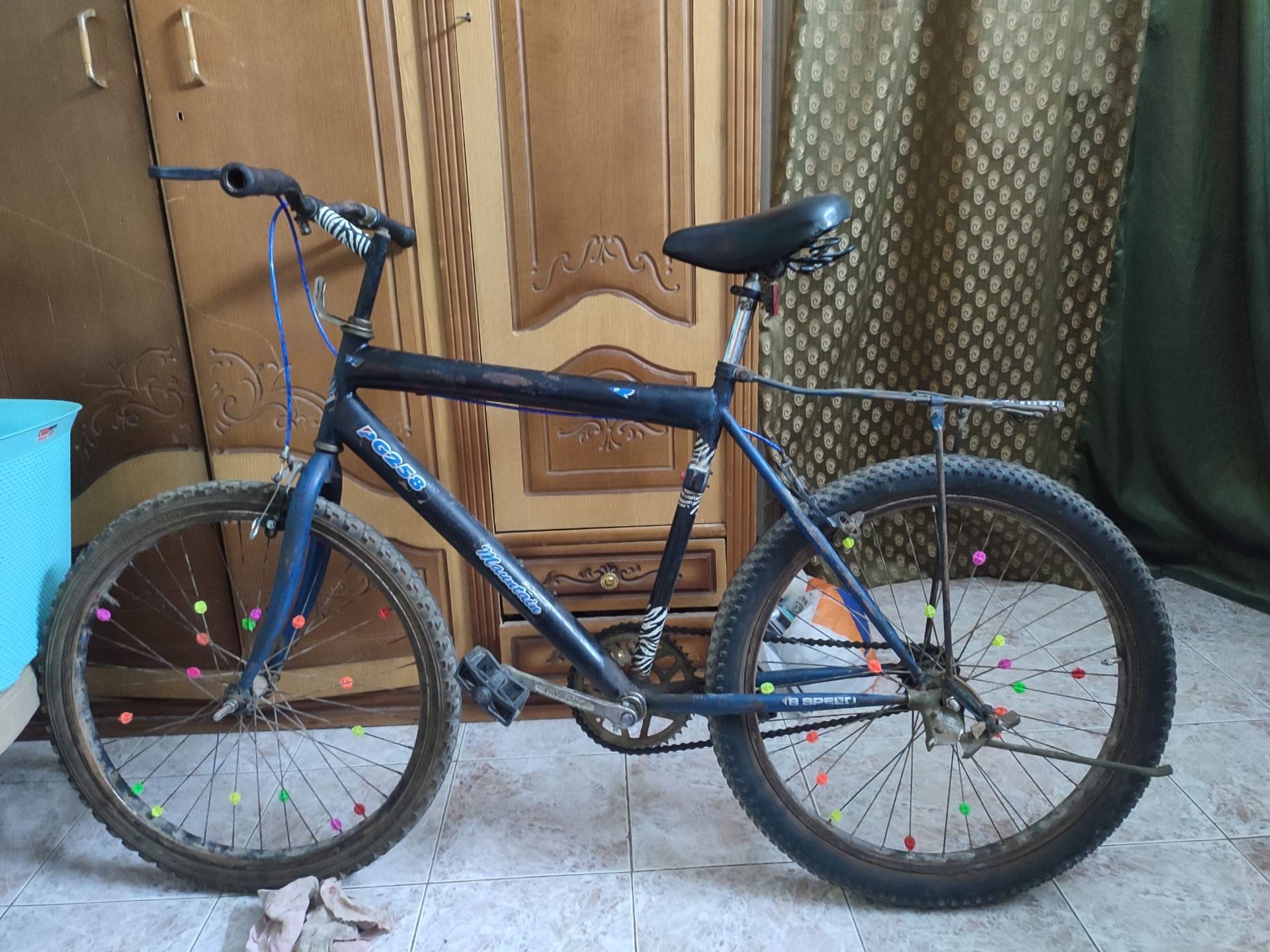 Blue Mountain Bike