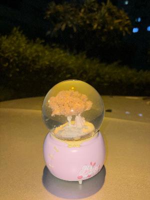 LED Light-Up Snow Globe