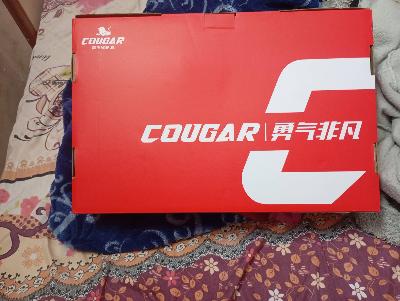 Cougar Inline Skates